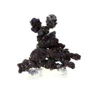 Cuprite + Cuivre. 141.9 Ct. Itauz Mine, Karaganda, Kazakhstan.