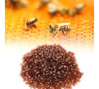 Cupules pour élevage de reines abeilles, 200 pièces - Incubateur portable léger et outils d'implantation pour transfert précis, fournitures apicoles complètes