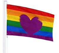 Cœur bisexuel avec drapeau Lgbt Drapeau 0,9 x 1,5 m Extérieur Double face 100% polyester Duty Drapeaux durables avec trou préréglé pour la maison, le bureau, le jardin, les décorations de vacances