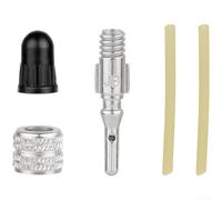 Cœur de Valve Fauteuil Roulant Placage pour cuivre Nickelé Cœur | Alliage de zinc pour robuste, résistance rouille, style britannique, pour vélos anciens, fauteuils roulants(B)