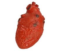 Cœur d'horreur battant - Accessoire de maison hantée en plastique, organe décoratif , décoration effrayante | Taille proche de la vie avec mouvement pulsé, faux cœur pour Halloween Décoration