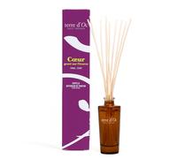 Cœur gravé sur l'écorce Capilla parfumé cèdre et tonka 100 ml terre d'Oc