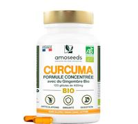 Curcuma BIO Haute Absorption | + Gingembre | 87% Curcumine | 120 gélules
