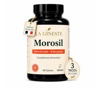 Cure 90 Jours Morosil 500 mg - Complément Alimentaire Perte de Poids - Gestion de l’Appétit - Programme Minceur - Orange Sanguine Moro - 90 Gélules - LA GINESTE