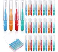 Cure-Dent Brossette Interdentaire Brosse à Dents Buccale à Tête de Soie Dentaire Cure-Dents de Fil Oral Outil de Nettoyage de Dents avec Boîte de Rangement, Rouge, Bleu, Vert, Orange (40)