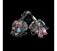 Curio Part II Vinyle