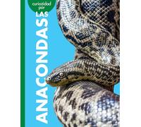 Curiosidad Por Las Anacondas