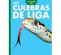Curiosidad Por Las Culebras De Liga
