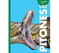 Curiosidad Por Las Pitones