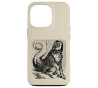 Curiosité d'Amon Coque pour iPhone 13 Pro