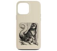 Curiosité d'Amon Coque pour iPhone 13 Pro Max