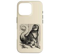 Curiosité d'Amon Coque pour iPhone 16 Pro