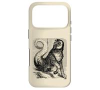 Curiosité d'Amon Coque pour iPhone 17 Pro