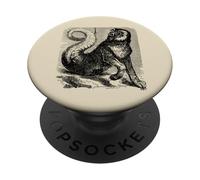 Curiosité d'Amon PopSockets PopGrip Adhésif