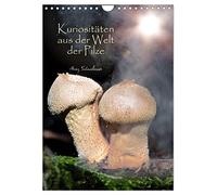 Curiosités du monde des champignons, Version française (Calendrier mural 2026 DIN A4 portrait), Calendrier CALVENDO mensuel