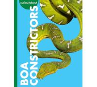 Curious About Boa Constrictors