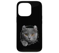 Curious American Curl Cat regardant à Travers Coque pour iPhone 13 Pro