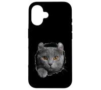 Curious American Curl Cat regardant à Travers Coque pour iPhone 16