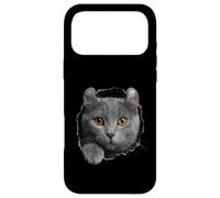 Curious American Curl Cat regardant à Travers Coque pour iPhone 17 Pro Max