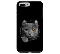 Curious American Curl Cat regardant à Travers Coque pour iPhone 7 Plus/8 Plus