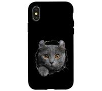 Curious American Curl Cat regardant à Travers Coque pour iPhone X/XS