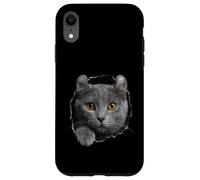 Curious American Curl Cat regardant à Travers Coque pour iPhone XR