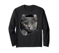 Curious American Curl Cat regardant à Travers Manche Longue