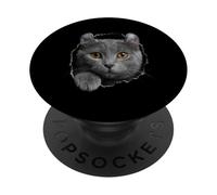 Curious American Curl Cat regardant à Travers PopSockets PopGrip Adhésif