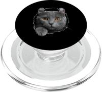 Curious American Curl Cat regardant à Travers PopSockets PopGrip pour MagSafe