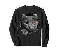 Curious American Curl Cat regardant à Travers Sweatshirt