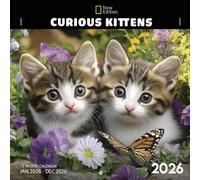 Curious Kittens 2026 Calendar: Mischievous Felines Exploring the World