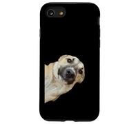 Curious Pup The Irrésistible Head Tilt Coque pour iPhone SE (2020) / 7/8