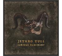 Curious Ruminant by Jethro Tull [CD] NEUF