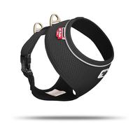 Curli Basic Harnais Air-Mesh Noir Pour Petits Chiens, Respirant & Sûr