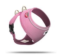 Curli Basic Harnais Air-Mesh Rose Pour Petits Chiens, Réglable & Respirant