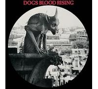 Current 93 - Dogs Blood Rising - Picture Disc [Vinyl Lp] Picture Disc, Australia - Import