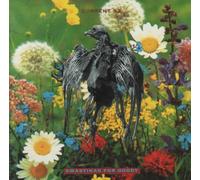 Current 93 - Swastikas for Goddy [Import]