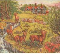 Current 93 - Untitled [Import anglais]