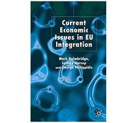Current Economic Issues In Eu Integration