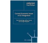 Current Economic Issues In Eu Integration
