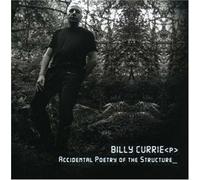 Currie, Billy - Accidental Poetry of The [Import]