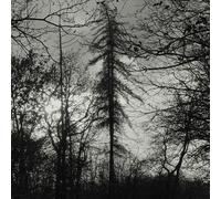 Curse All Kings - Feral Earth [Compact Discs]