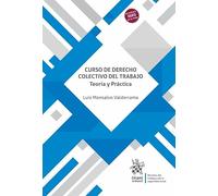 Curso de Derecho Colectivo del Trabajo Teoría y Práctica