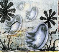 Curtains for You – After Nights Without Sleep – CD