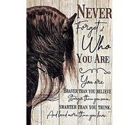 Curteny Panneau en métal avec motif cheval « Never Forget Who You are Tavern » - Décoration murale pour salle de bain et toilettes - 14 x 20 cm