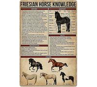 Curteny Panneau en métal Friesian Horse Knowledge - Décoration esthétique pour bar, café, ferme - 14 x 20 cm