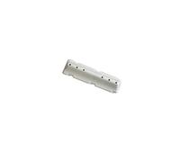 Curtiss Aube de tambour 53188954431