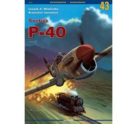 Curtiss P-40 Vol. III