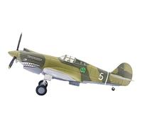 Curtiss P-40 Warhawk 1/72 Modèle d'avion moulé sous pression (05)