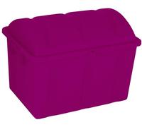 Curver 259604 Boîte de rangement Piraten 75 Jahre-Edition lilas (métallisé) 1 pc(s)